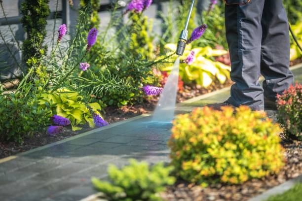 Best Winterizing Services  in Avon, IN
